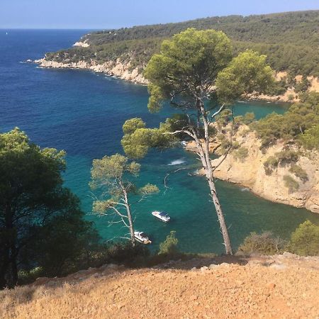 Sanary Sur Mer Appartement 30M2 T2 Avec Terrasse Piscine 10Min A Pied De La Plage المظهر الخارجي الصورة