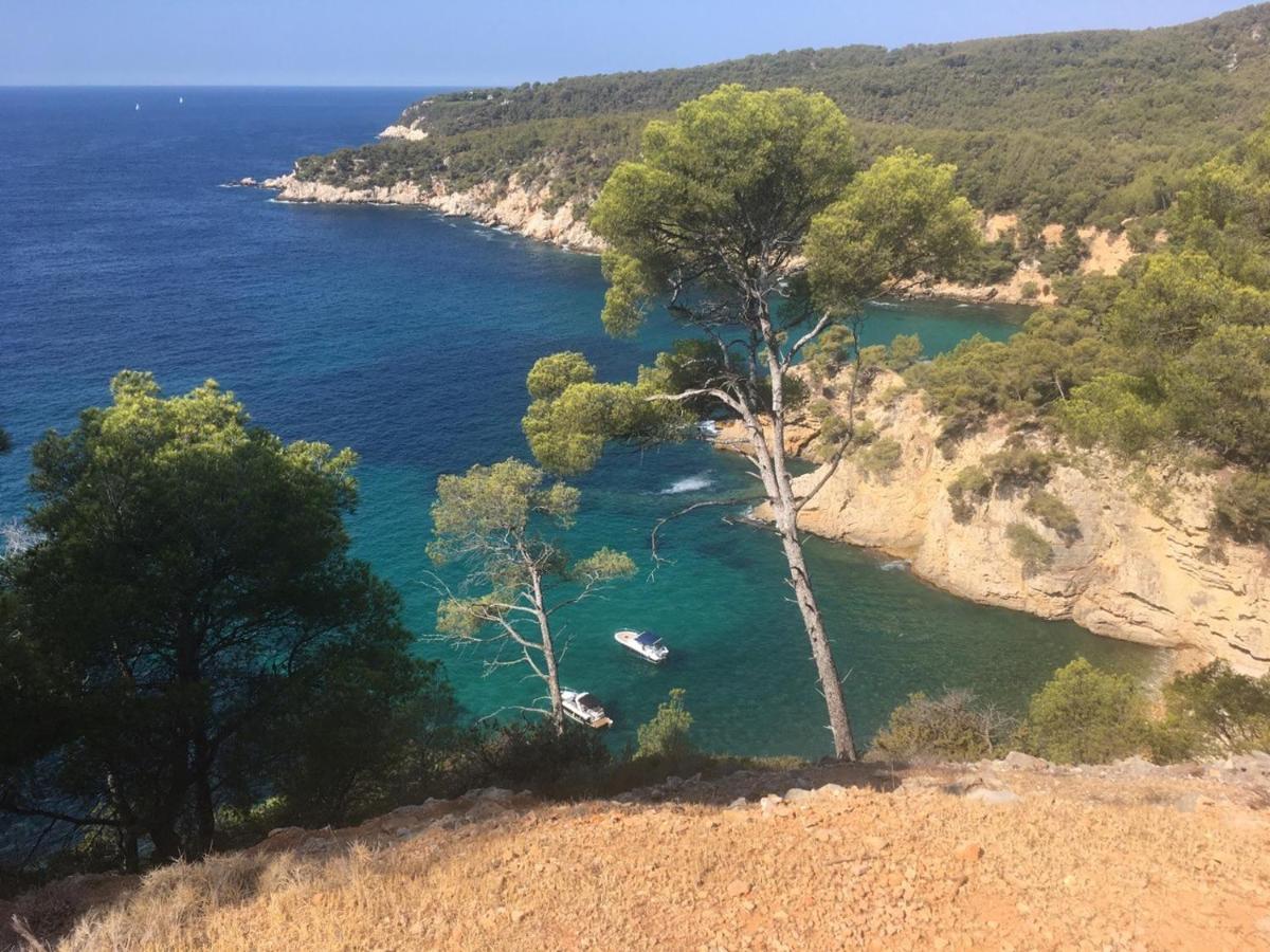 Sanary Sur Mer Appartement 30M2 T2 Avec Terrasse Piscine 10Min A Pied De La Plage المظهر الخارجي الصورة
